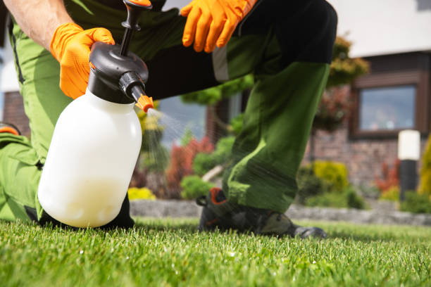 Best Insect Control  in Ocean Bluff Brant Rock, MA