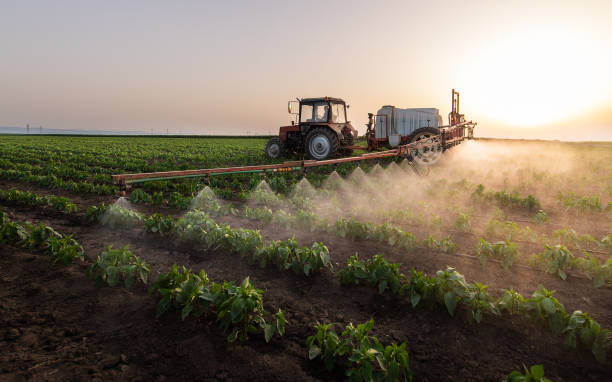 Best Commercial Pest Control Services  in Ocean Bluff Brant Rock, MA