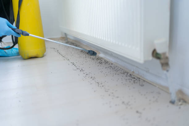 Best Local Pest Control Services  in Ocean Bluff Brant Rock, MA