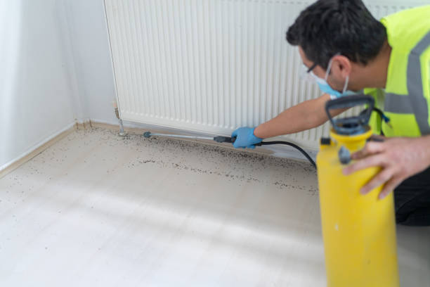 Best Mosquito Control Services  in Ocean Bluff Brant Rock, MA